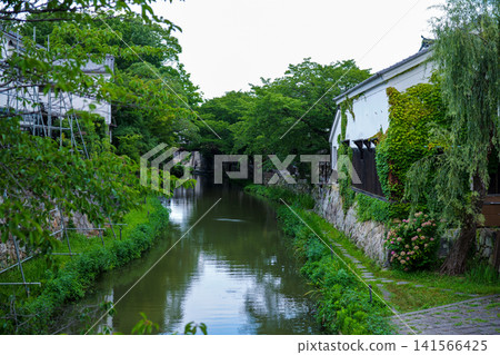 Hachimanbori, a historical waterway in Omihachiman City, Shiga Prefecture. Photographed in July 2026. Hachimanbori, a historical waterway in Omihachiman City, Shiga Prefecture. Photographed in July 2026. 141566425