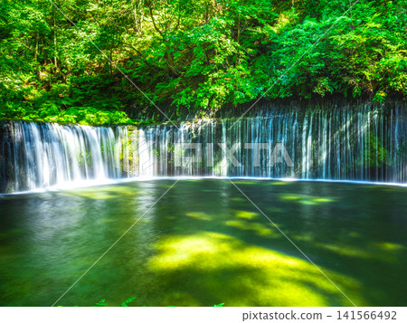 輕井澤Shiraito在夏天落 輕井澤Shiraito在夏天落 141566492
