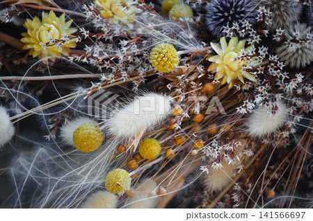 Close-up texture of dried wildflowers bouquet with craspedia and bunny tails. 141566697