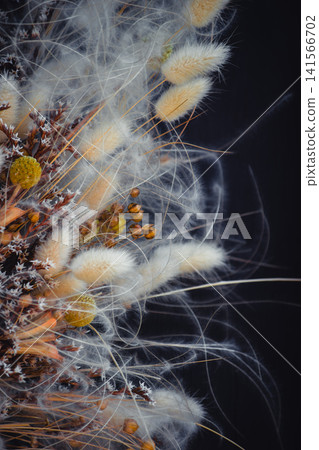 Dried floral arrangement with fluffy lagurus and feather grass on dark background Dried floral arrangement with fluffy lagurus and feather grass on dark background 141566702