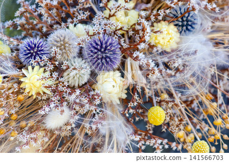 Macro shot of dried bouquet with globe thistle and strawflower arrangement. Macro shot of dried bouquet with globe thistle and strawflower arrangement. 141566703