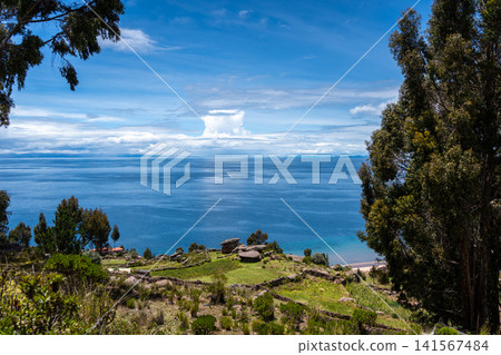Houses and cultivated fields on Taquile Island, Lake Titicaca, Peru Houses and cultivated fields on Taquile Island, Lake Titicaca, Peru 141567484