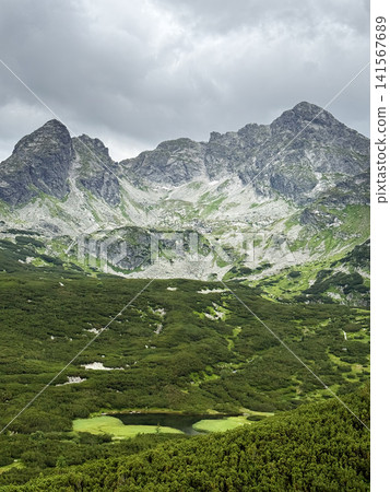 Mountain landscape with green grass in summer. Tatra Mountains in Poland Mountain landscape with green grass in summer. Tatra Mountains in Poland 141567689