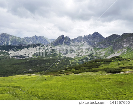 Mountain landscape with green grass in summer. Tatra Mountains in Polandountain landscape with green grass in summer. Tatra Mountains in Poland Mountain landscape with green grass in summer. Tatra Mountains in Polandountain landscape with green grass in summer. Tatra Mountains in Poland 141567690
