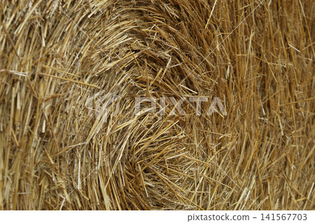 Spiral Texture of Round Straw Bale Macro Spiral Texture of Round Straw Bale Macro 141567703