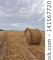 Large Round Haystack in Harvested Wheat Field 141567720