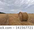 Rolled Straw Bale on Harvested Agricultural Land 141567721