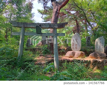 一幅有鳥居和石碑的風景畫 一幅有鳥居和石碑的風景畫 141567766
