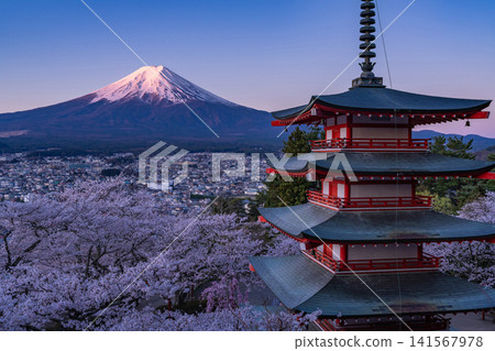Mount Fuji, cherry blossoms in full bloom, and a five-story pagoda as seen from Arakurayama Sengen Park in spring. Mount Fuji, cherry blossoms in full bloom, and a five-story pagoda as seen from Arakurayama Sengen Park in spring. 141567978