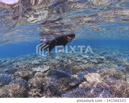 A woman enjoying snorkeling in the clear waters of Ishigaki Island. A woman enjoying snorkeling in the clear waters of Ishigaki Island. 141568103