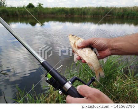 fisherman caught fish on fishing trip, in one hand he has fishing rod, in other hand large crucian carp. concept of successful fishing and captured fish. man caught carp on fishing rod in river fisherman caught fish on fishing trip, in one hand he has fishing rod, in other hand large crucian carp. concept of successful fishing and captured fish. man caught carp on fishing rod in river 141568790