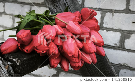 Fresh red tulip bouquet lies on rustic wooden ladder near brick wall. Fresh red tulip bouquet lies on rustic wooden ladder near brick wall. 141568810