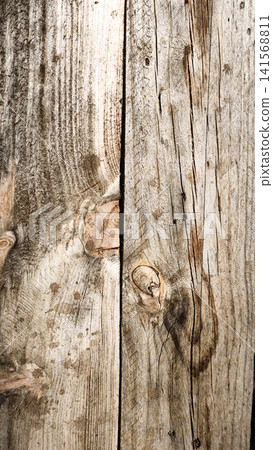 Weathered wooden board shows natural grain lines and dark knots. Weathered wooden board shows natural grain lines and dark knots. 141568811
