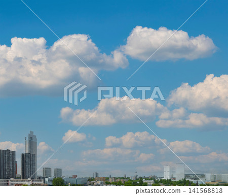 Rotterdam City Skyline with Blue Sky Rotterdam City Skyline with Blue Sky 141568818