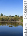 Wooden gazebo near calm pond, natural landscape with gazebo 141569057