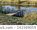 Wooden pier extending over calm pond surrounded by grass and reeds in rural area. 141569059