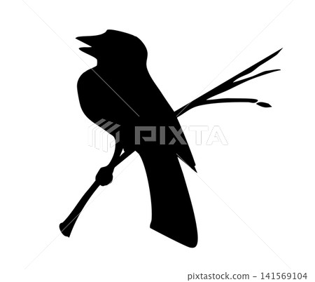 Vector drawing. Tit on white sky backdrop. Vector drawing. Tit on white sky backdrop. 141569104
