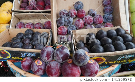 Cardboard boxes filled with colorful plums, dusty coating visible Cardboard boxes filled with colorful plums, dusty coating visible 141569578