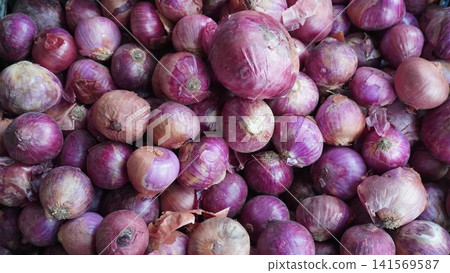 Bin packed with purple tinted red onions with papery skins Bin packed with purple tinted red onions with papery skins 141569587