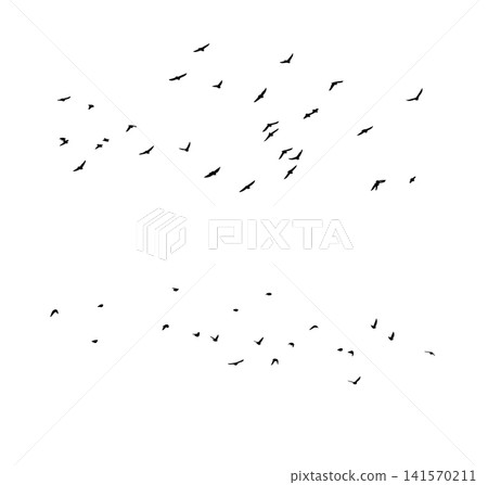 Flying birds silhouette flock. A large flock of starlings hand drawing. Not AI. Vector illustration Flying birds silhouette flock. A large flock of starlings hand drawing. Not AI. Vector illustration 141570211