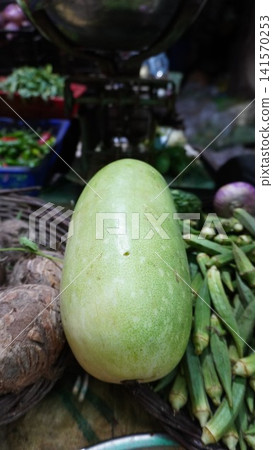 Close up of ash gourd with okra and leafy greens Close up of ash gourd with okra and leafy greens 141570253