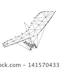 hang glider flying pilot, from abstract futuristic polygonal black lines and dots 141570433