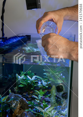 Man pouring aquarium water into plastic bag for fish acclimation Man pouring aquarium water into plastic bag for fish acclimation 141570688
