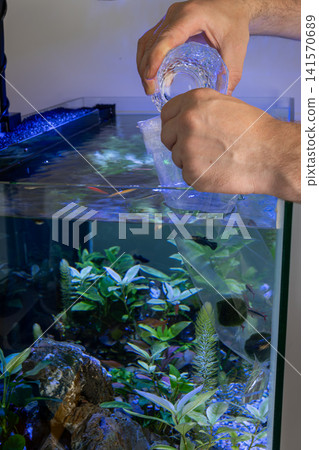 Man pouring aquarium water into plastic bag for fish acclimation Man pouring aquarium water into plastic bag for fish acclimation 141570689