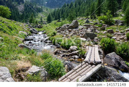 Wooden log bridge crossing a rushing mountain stream in a rocky, green valley, surrounded by lush forest and high peaks, symbolizing adventure and exploration in pristine nature Wooden log bridge crossing a rushing mountain stream in a rocky, green valley, surrounded by lush forest and high peaks, symbolizing adventure and exploration in pristine nature 141571149