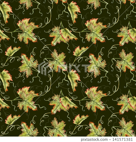 Watercolor Grapes vine seamless pattern hand painted. Green leaves repeat ornament isolated on dark background. For kitchen textile, wine packaging design, print for curtains, apron and napkins Watercolor Grapes vine seamless pattern hand painted. Green leaves repeat ornament isolated on dark background. For kitchen textile, wine packaging design, print for curtains, apron and napkins 141571381