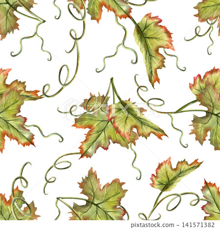 Grapes vine watercolor seamless pattern. Green leaves repeat ornament. Hand painted Illustration isolated on white background. For kitchen textile, packaging design, print for curtains and tableware Grapes vine watercolor seamless pattern. Green leaves repeat ornament. Hand painted Illustration isolated on white background. For kitchen textile, packaging design, print for curtains and tableware 141571382