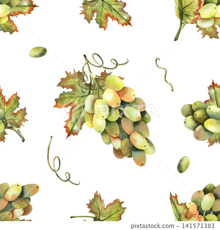 Watercolor green grapes seamless pattern. Hand-painted repeatable grapevine, fresh berries, green leaves isolated on white background for kitchen wallpapers, tablecloth, winery branding Watercolor green grapes seamless pattern. Hand-painted repeatable grapevine, fresh berries, green leaves isolated on white background for kitchen wallpapers, tablecloth, winery branding 141571383