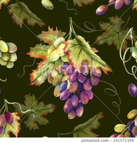 Watercolor seamless pattern green red grapes vine isolated on dark background. Hand-painted illustrations of bunches, berries, leaves, grapevine tendrils. For premium wine packaging, kitchen textile Watercolor seamless pattern green red grapes vine isolated on dark background. Hand-painted illustrations of bunches, berries, leaves, grapevine tendrils. For premium wine packaging, kitchen textile 141571384