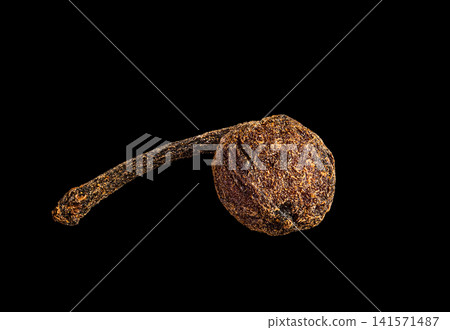 one pea bourbon pepper with a tail from madagascar 141571487