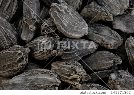 exotic spice black cardamon from India 141571502