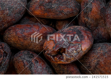 aromatish and bitter cocoa beans from Africa aromatish and bitter cocoa beans from Africa 141571515