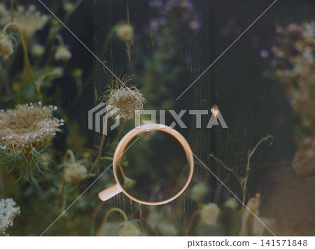 A coffee mug placed in a lush summer garden surrounded by blooming wildflowers, a tiny snail climbing a dark wooden fence. Atmospheric outdoor still life representing slow living and summer nature. A coffee mug placed in a lush summer garden surrounded by blooming wildflowers, a tiny snail climbing a dark wooden fence. Atmospheric outdoor still life representing slow living and summer nature. 141571848