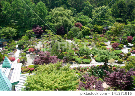 鬱鬱蔥蔥的日式花園,景色優美。 鬱鬱蔥蔥的日式花園,景色優美。 141571916