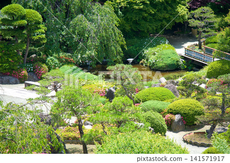 鬱鬱蔥蔥的日式花園,園內有池塘和橋樑。 鬱鬱蔥蔥的日式花園,園內有池塘和橋樑。 141571917