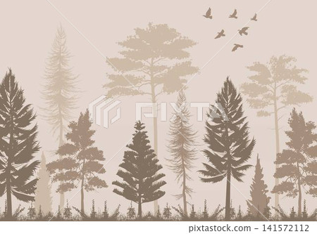 Misty Forest Misty Forest 141572112