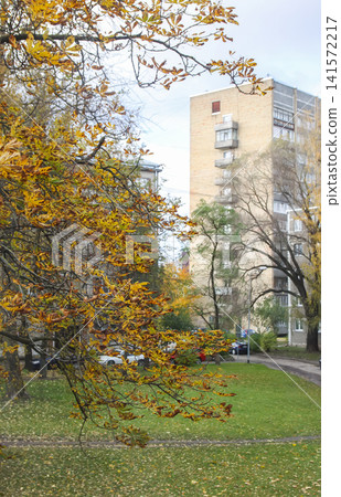 Yellow horse chestnut leaves capture the atmosphere of autumn with warm colors and natural beauty. Yellow horse chestnut leaves capture the atmosphere of autumn with warm colors and natural beauty. 141572217