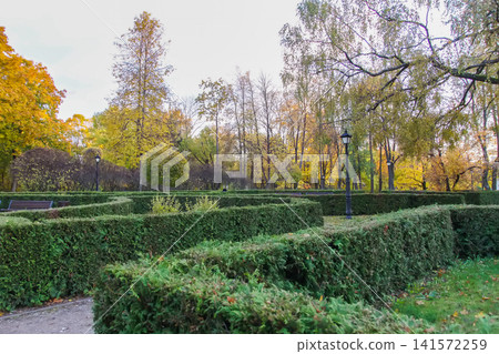 Autumn park featuring trimmed hedges, paved walkways, and majestic trees in golden seasonal colors. Botanical diversity, landscape planning, environmental appreciation. Autumn park featuring trimmed hedges, paved walkways, and majestic trees in golden seasonal colors. Botanical diversity, landscape planning, environmental appreciation. 141572259