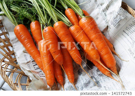 Harvested carrots Harvested carrots 141572743