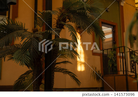 Golden sunlight casting soft shadows of tropical palm leaves inside warm architectural space. Atmospheric interior scene with cinematic lighting. Golden sunlight casting soft shadows of tropical palm leaves inside warm architectural space. Atmospheric interior scene with cinematic lighting. 141573096