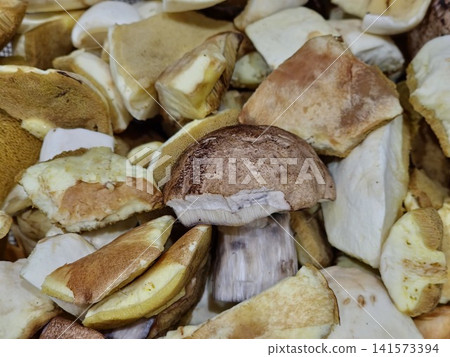 Mixed Bolete Harvest with Whole Brown-Capped Mushroom Mixed Bolete Harvest with Whole Brown-Capped Mushroom 141573394