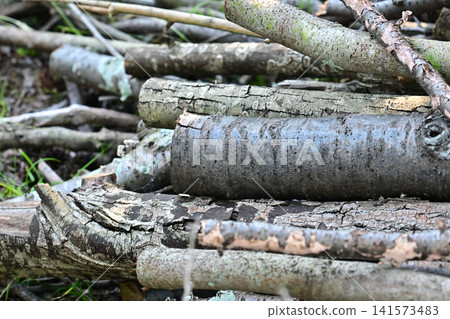 Firewood (for camping, etc.) Firewood (for camping, etc.) 141573483