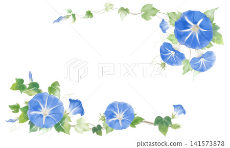 藍色牽牛花水彩畫框 藍色牽牛花水彩畫框 141573878