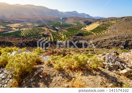 Xerokambos landscape 141574102