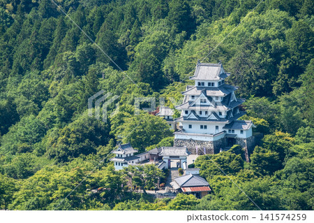 郡上八幡城 141574259