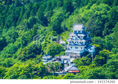 郡上八幡城 郡上八幡城 141574260